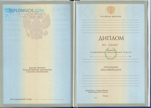 диплом вуза 2004-2009